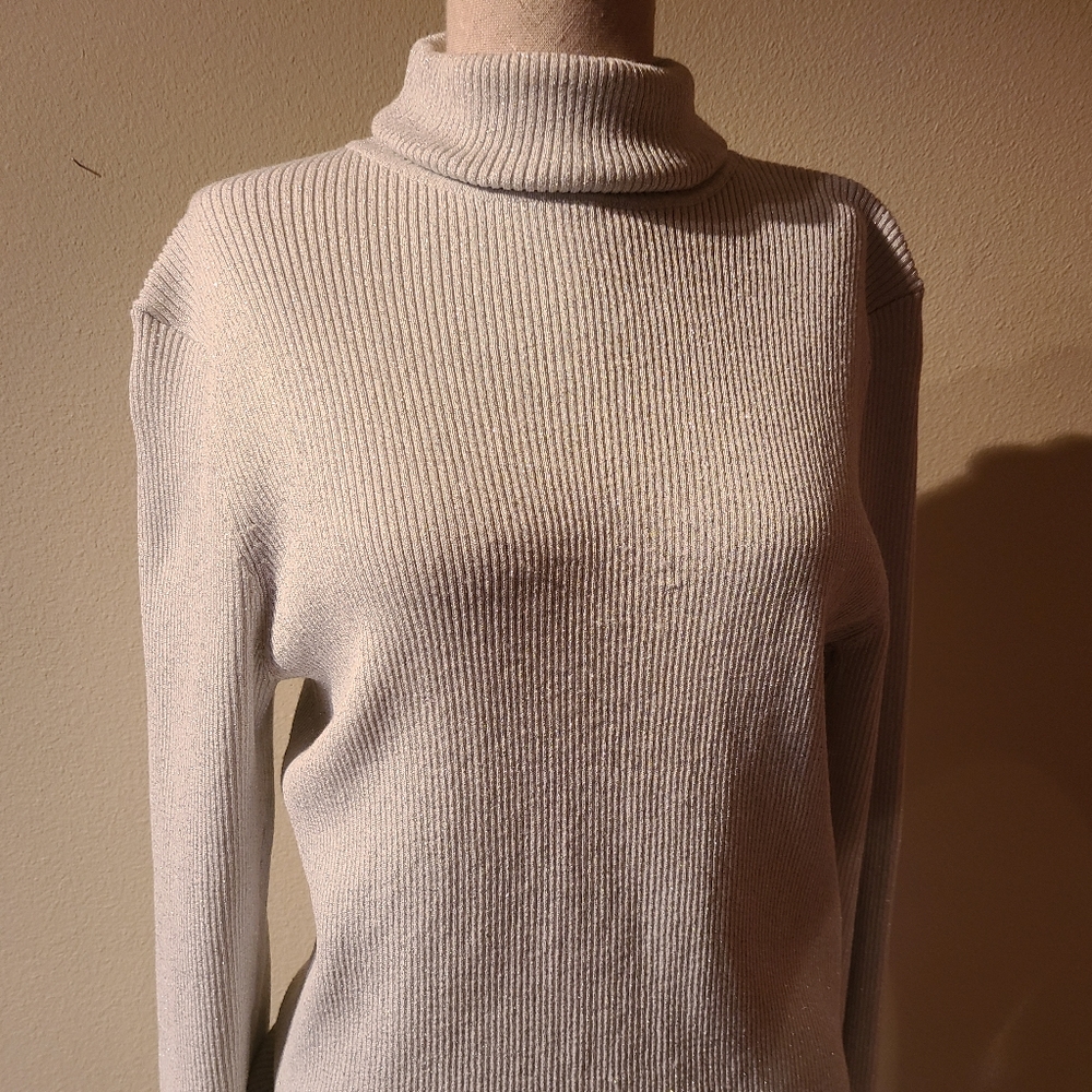 Chico's sparkly silver turtleneck